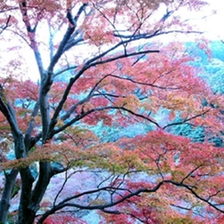 Raku Yado Hana Hana 伊東市 エクステリア 写真